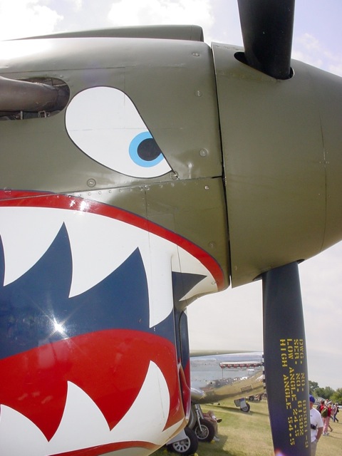 Loading Image